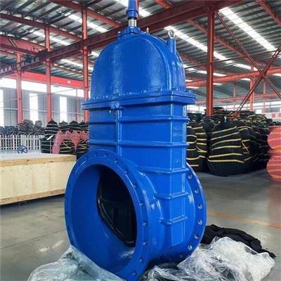 Mục đích của van một chiều Flapper là gì?