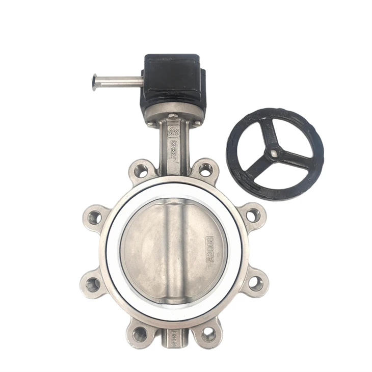 Van bướm PTFE loại 316L Worm Gear Lug